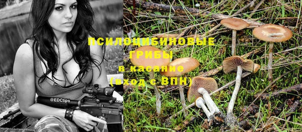 a pvp Арсеньев